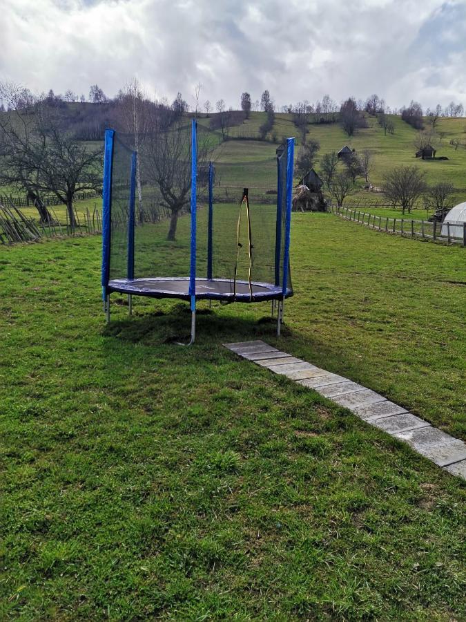 Cabanute Luca Ama Bran Lodge *