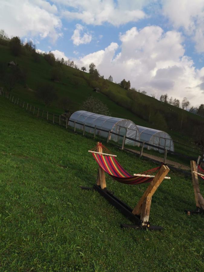 Lodge Cabanute Luca Ama Bran *