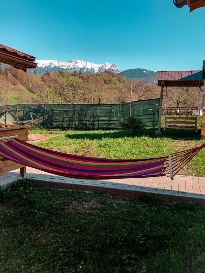 Cabanute Luca Ama Bran Lodge