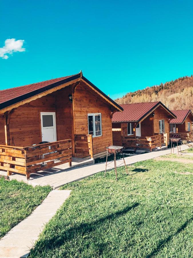 Cabanute Luca Ama Bran Lodge