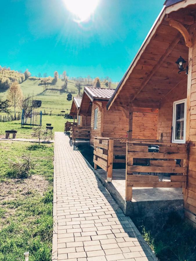 Cabană Cabanute Luca Ama Bran Brașov