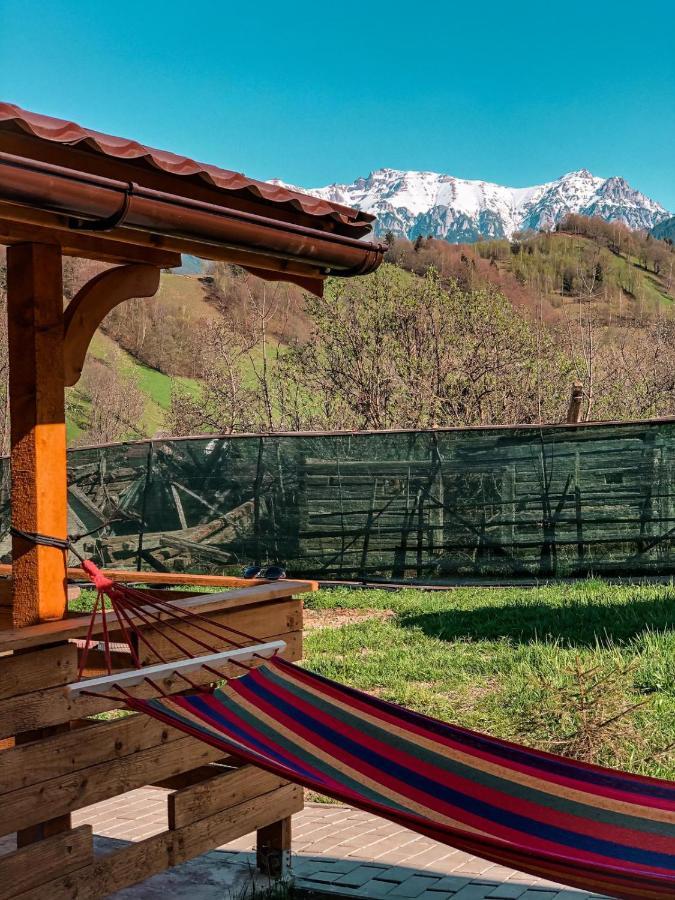 Cabanute Luca Ama Bran Lodge *