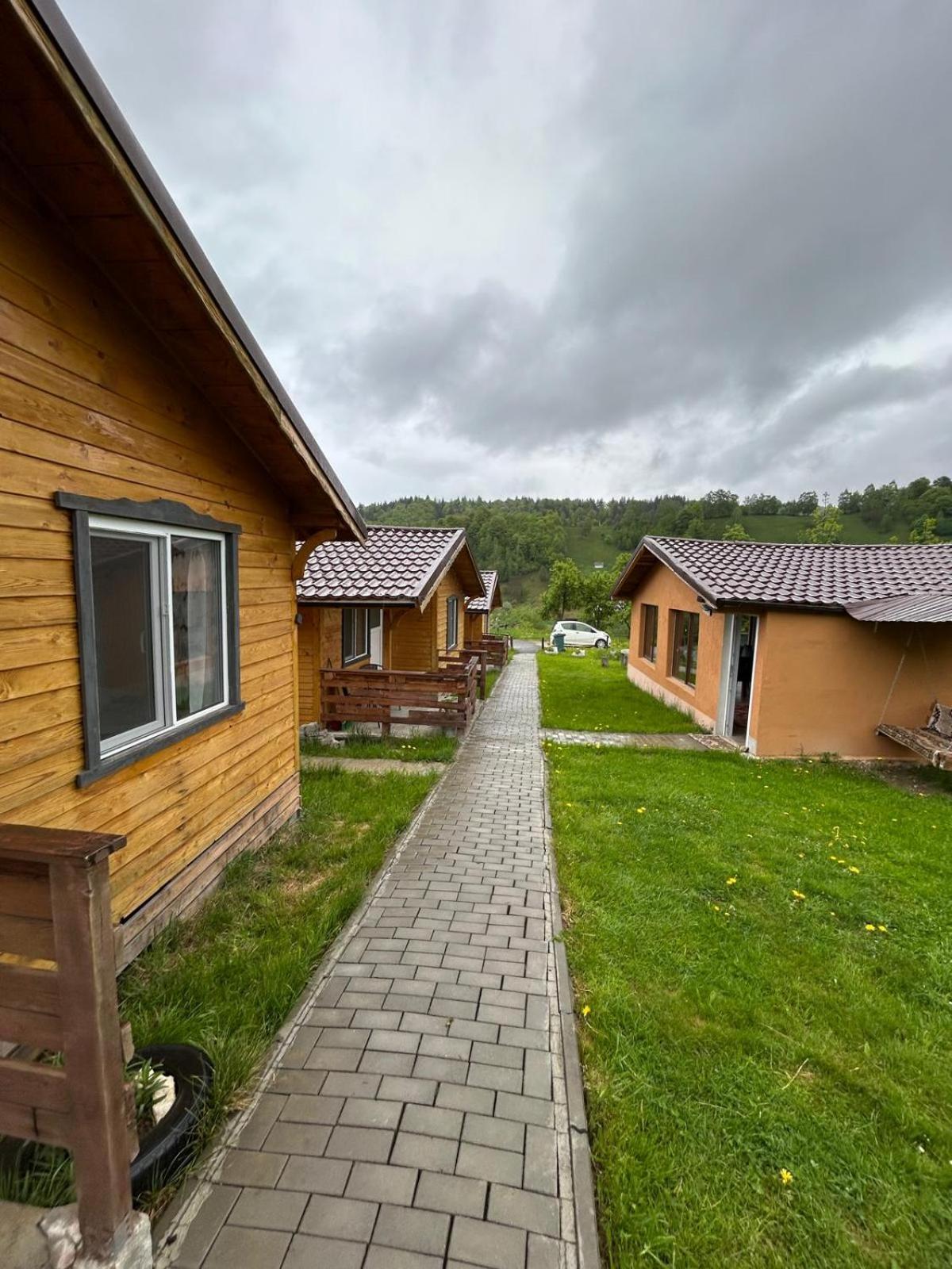 Cabană Cabanute Luca Ama Bran Brașov